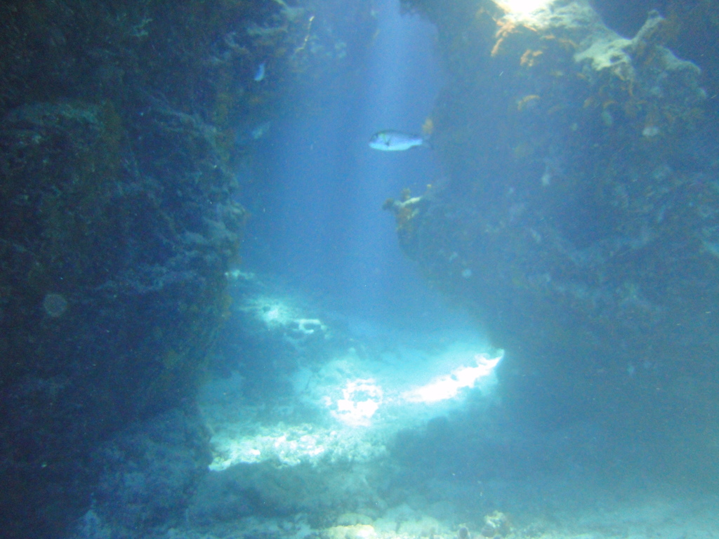 DSC00168.JPG
