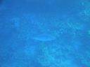 DSC00142.JPG