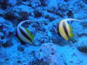 DSC00149.JPG