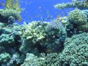 DSC00218.JPG