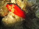 DSC00289.JPG