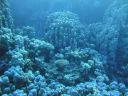 DSC00325.JPG