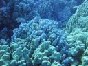 DSC00326.JPG