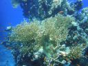 DSC00344.JPG