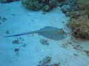 DSC00352.JPG
