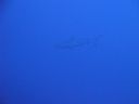 DSC00356.JPG