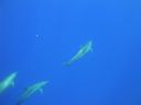 DSC00366.JPG