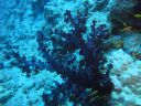 DSC00372.JPG