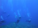 DSC00387.JPG