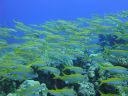 DSC00416.JPG