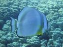 DSC00417.JPG
