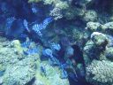 DSC00428.JPG