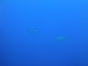 DSC00023.JPG