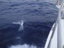 DSC00104.JPG