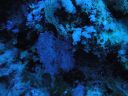 DSC00109.JPG