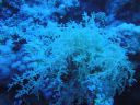 DSC00112.JPG