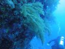 DSC00115.JPG