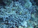 DSC00118.JPG
