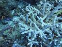 DSC00119.JPG