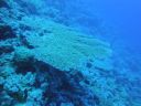 DSC00126.JPG