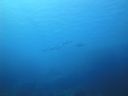 DSC00136.JPG