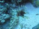 DSC00145.JPG