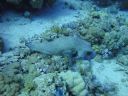 DSC00156.JPG