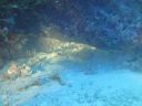 DSC00176.JPG