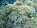 DSC00190.JPG