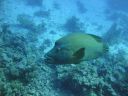DSC00242.JPG