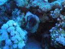DSC00271.JPG