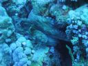 DSC00275.JPG