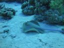 DSC00277.JPG
