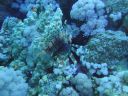 DSC00355.JPG