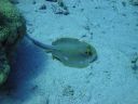 DSC00358.JPG