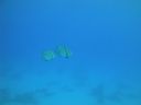 DSC00379.JPG
