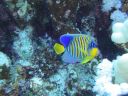 DSC00380.JPG