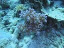 DSC00383.JPG