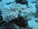 DSC00384.JPG