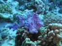 DSC00386.JPG