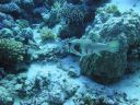 DSC00389.JPG