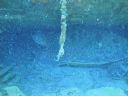 DSC00401.JPG