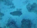 DSC00411.JPG
