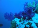 DSC00426.JPG
