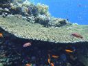 DSC00430.JPG