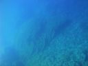 DSC00510.JPG