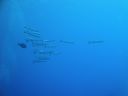 DSC00527.JPG