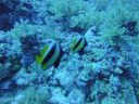 DSC00566.JPG