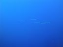 DSC00595.JPG
