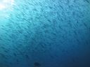 DSC00812.JPG